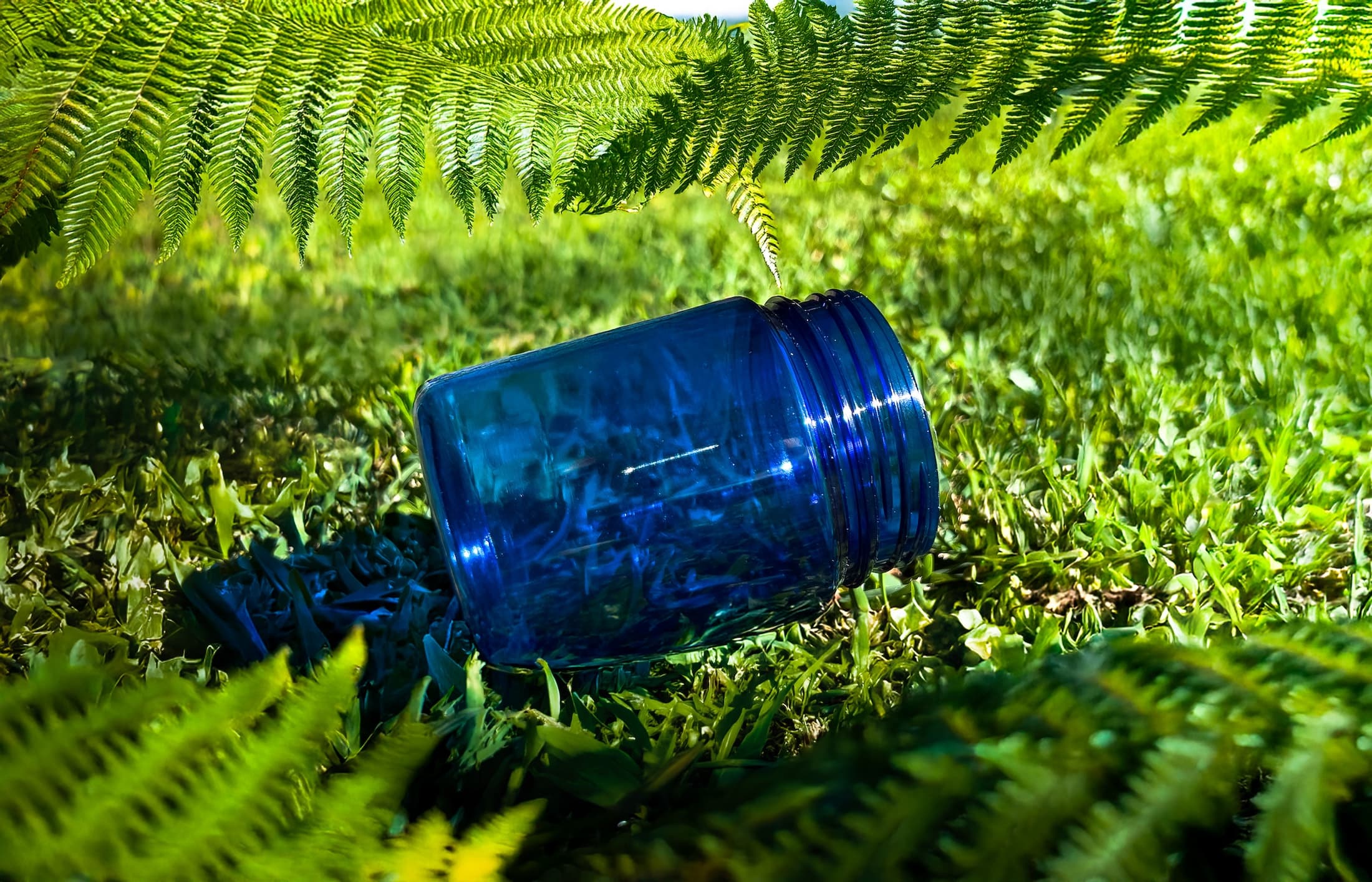 Sustainable PET Packaging Solutions